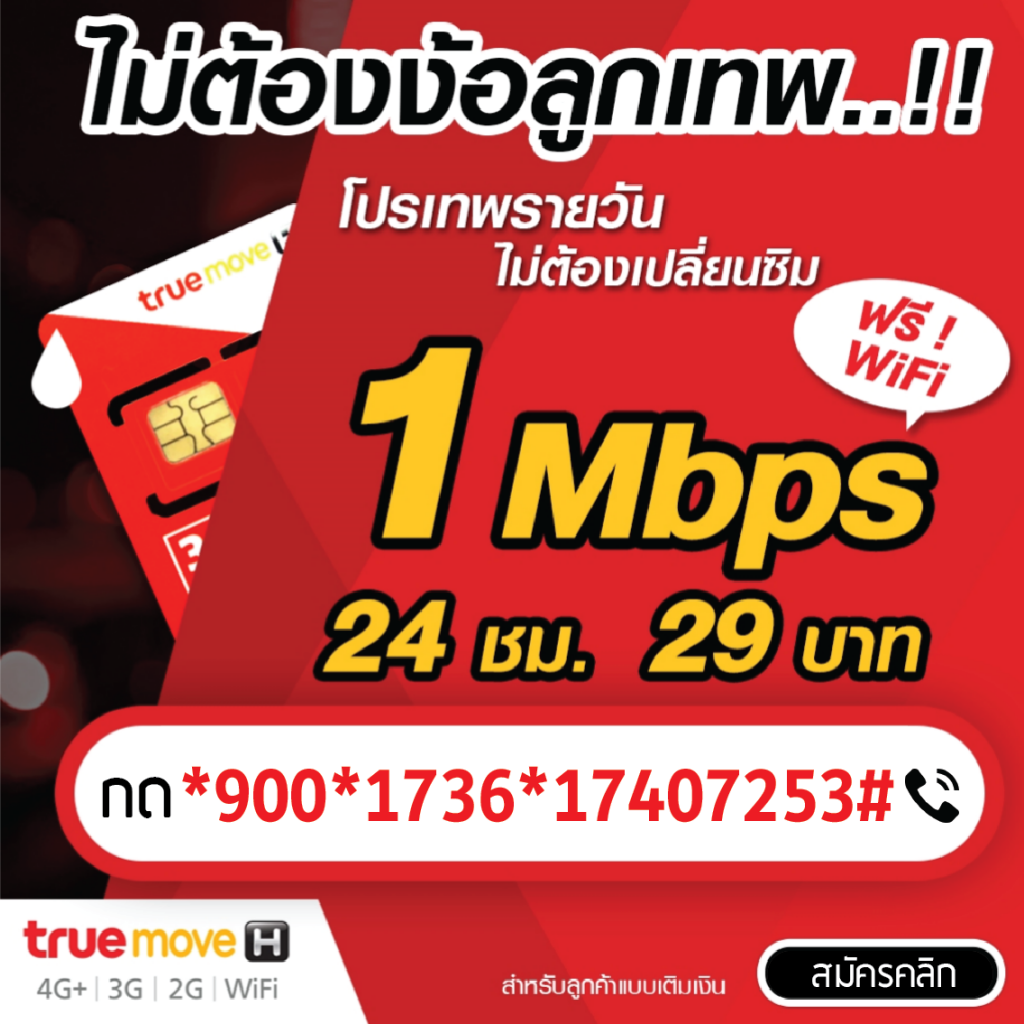 1mbps-29-บาท-เน็ตทรูพร้อม-wifi-7136-1024x1024.png